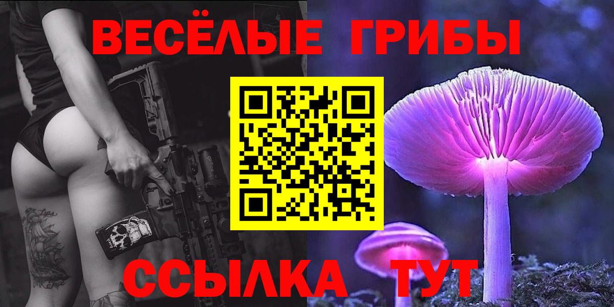 Клинцы  цены   Вход с VPN  Псилоцибиновые грибы Psilocybe 